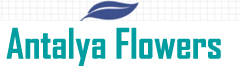 Antalya Çiçek Siparişi Logo