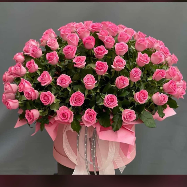  Antalya Florist 75 Rosa Rosen In Der Box