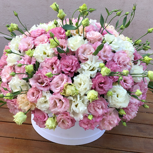  доставка цветов в АнталияТурция Розовые белые лисиантусы