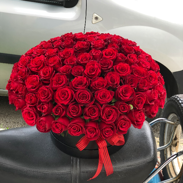 Antalya Florist 121 Red Roses in Box