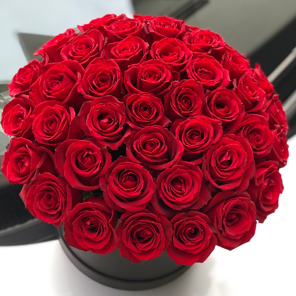  Доставка цветов в Анталию 61 красная роза в коробке
