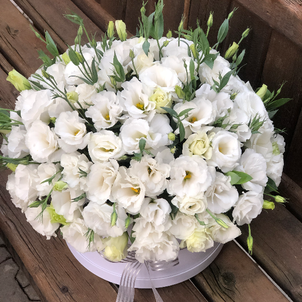  Доставка цветов в Анталию Белые лисиантусы в коробке