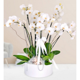 Antalya Blumen Bestellen 8 Zweige Orchideen-Arrangement