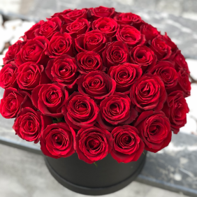  Доставка цветов в Анталию 61 красная роза в коробке